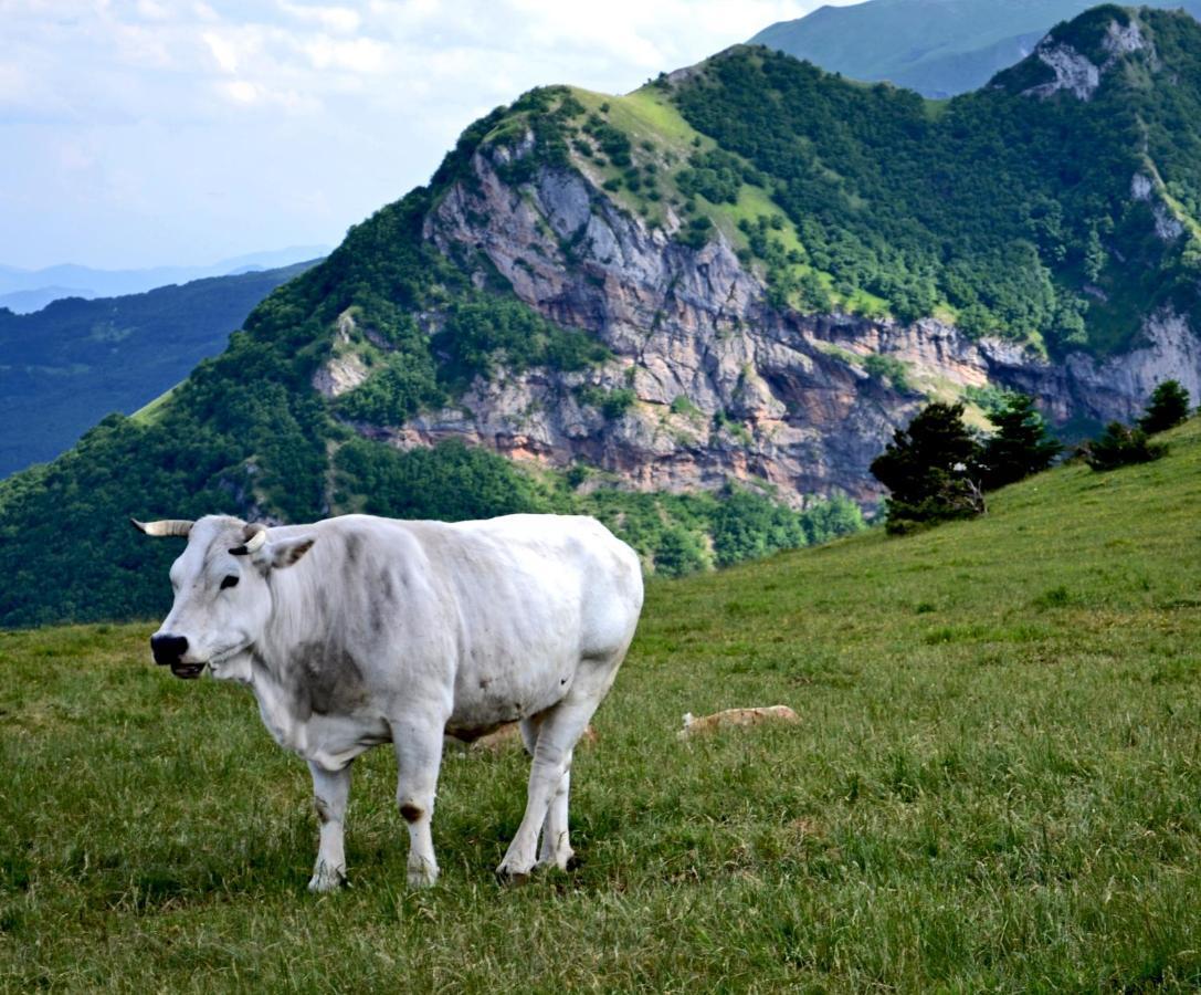 Locanda Della Rocca Sarnano Ngoại thất bức ảnh